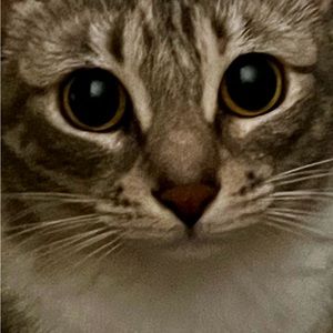 Meet your Posher, Pamela